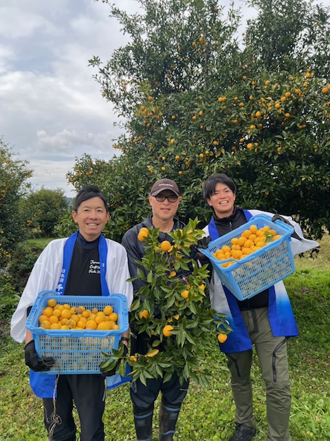 ULTRA YUZUの柚子を収穫！